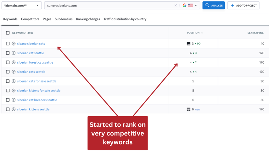 pet business SEO