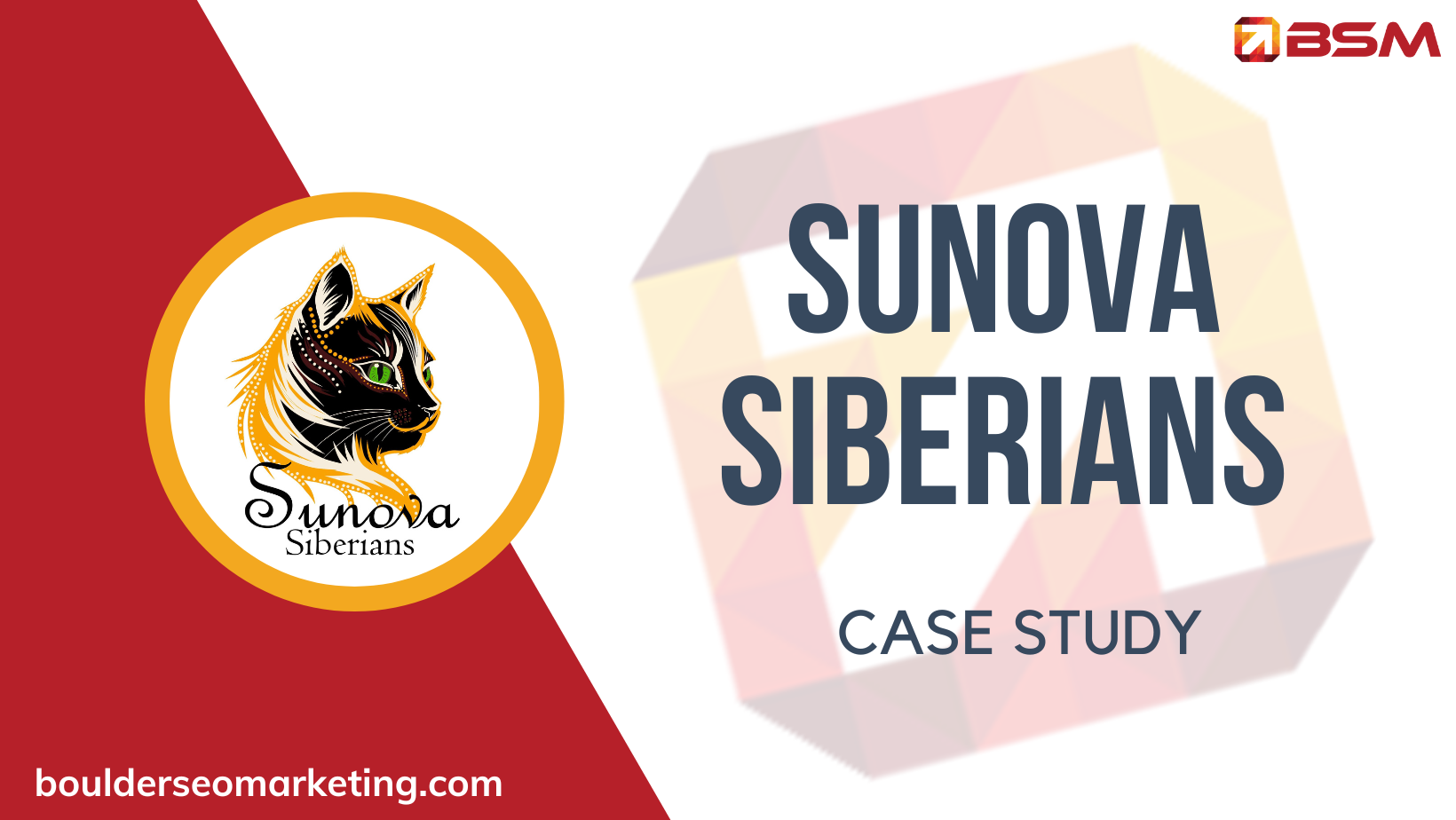 Case Study: Sunova Siberians — How a Seattle-Based Cat Breeder Filled Their Waitlist in Weeks with Micro SEO Strategy℠